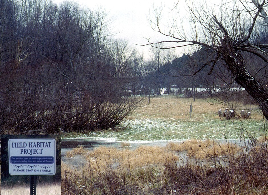 Field Habitat Project