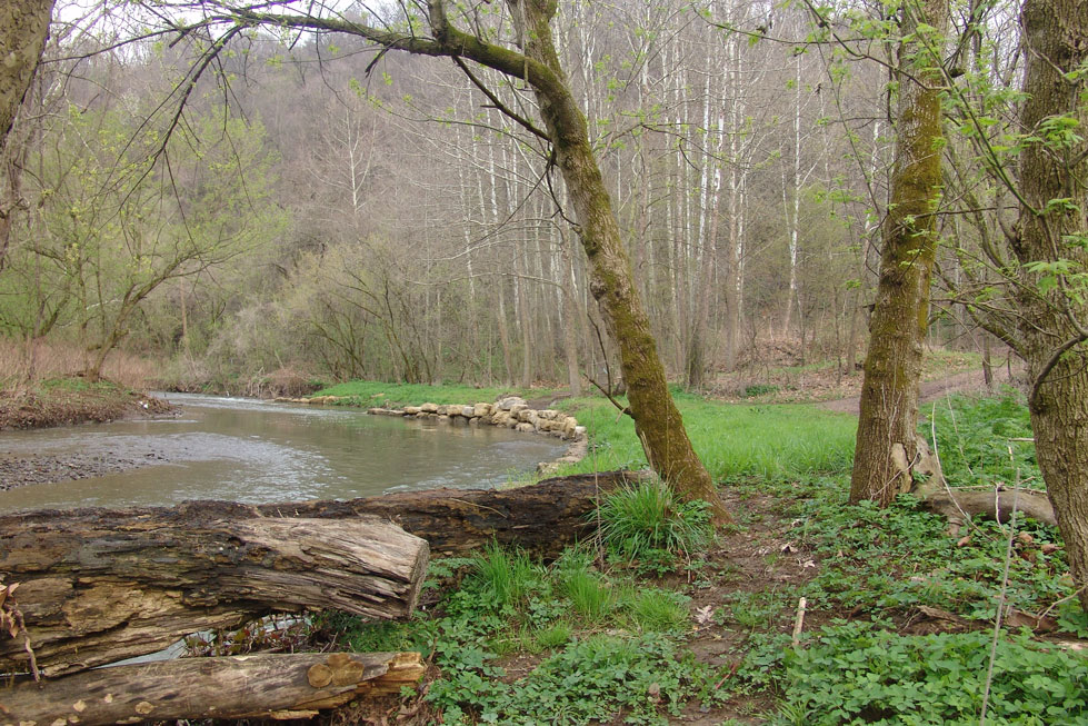 JH Natural Channel Design